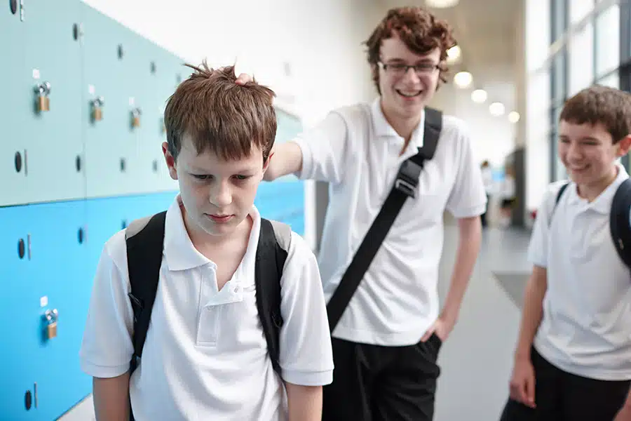 Bullying in the School Years